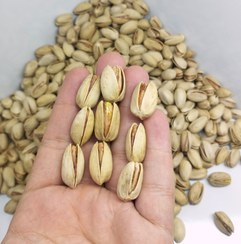 تصویر 1 از پسته کله قوچی قوچان با طعم ملایم و دلنشین اعلاء